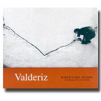 Bodegas y Vi�edos Valderiz - Ribera del Duero 2021 (750ml) (750ml)