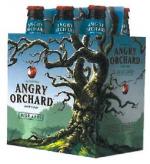 Angry Orchard - Crisp Apple Cider (24oz bottle)